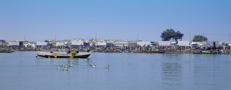 Importante activité sur la plage de Djiffer à l'arrivée des pirogues de pêcheurs